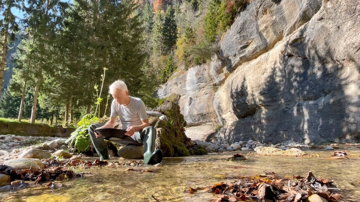 Auswaschen des Konzentrats mit der Goldwaschpfanne Goldwaschen mit Goldwaschpfanne